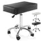 Rolling Hydraulic Salon Stool with Large Adjustable Seat