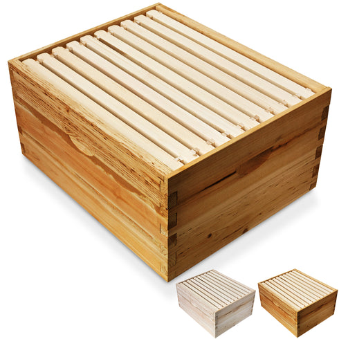 BEE-HIVE-P698