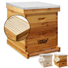 BEE-HIVE-P699