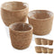 Set of 3 Seagrass Planter Baskets with Liners