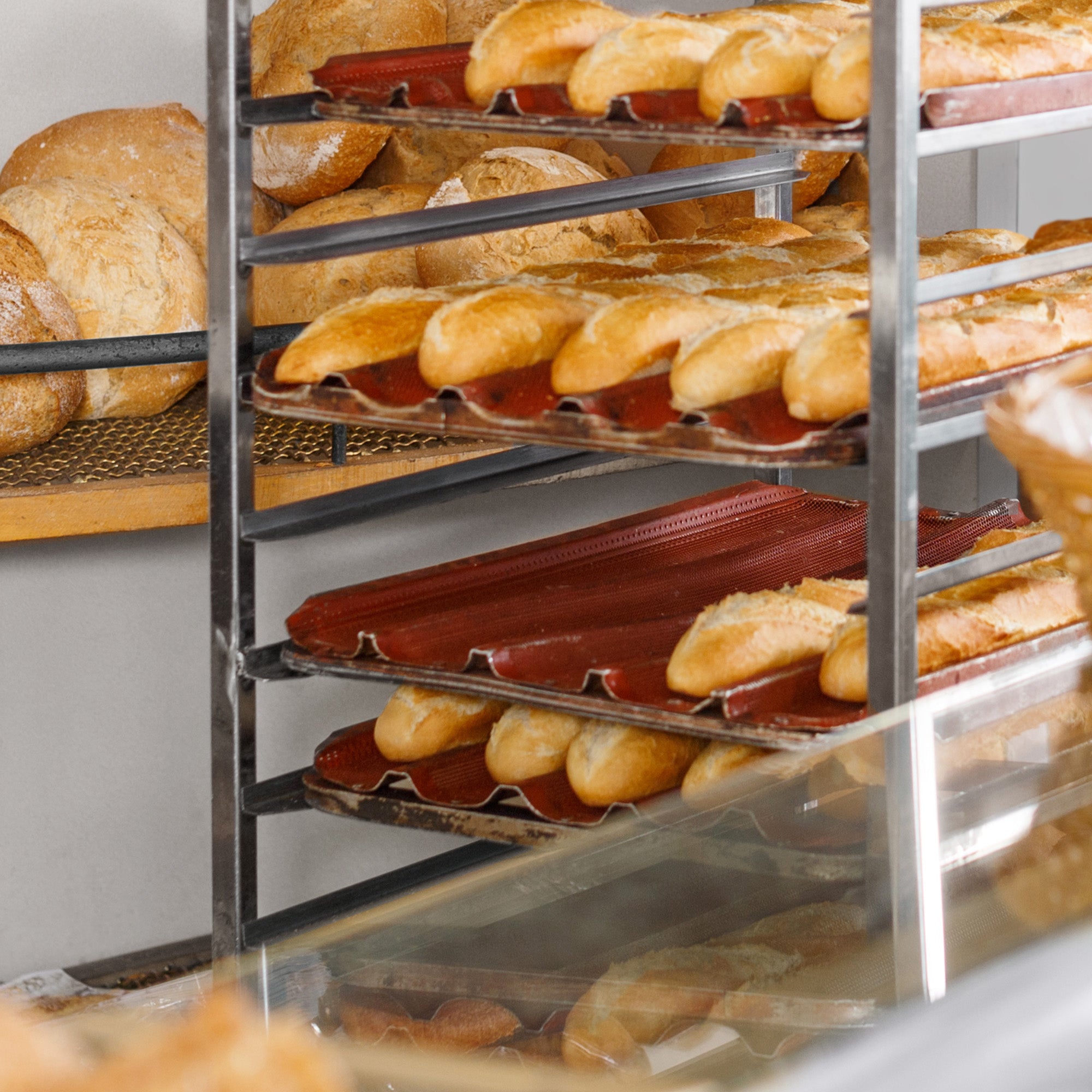 REST-RACK-GR18-PAN10