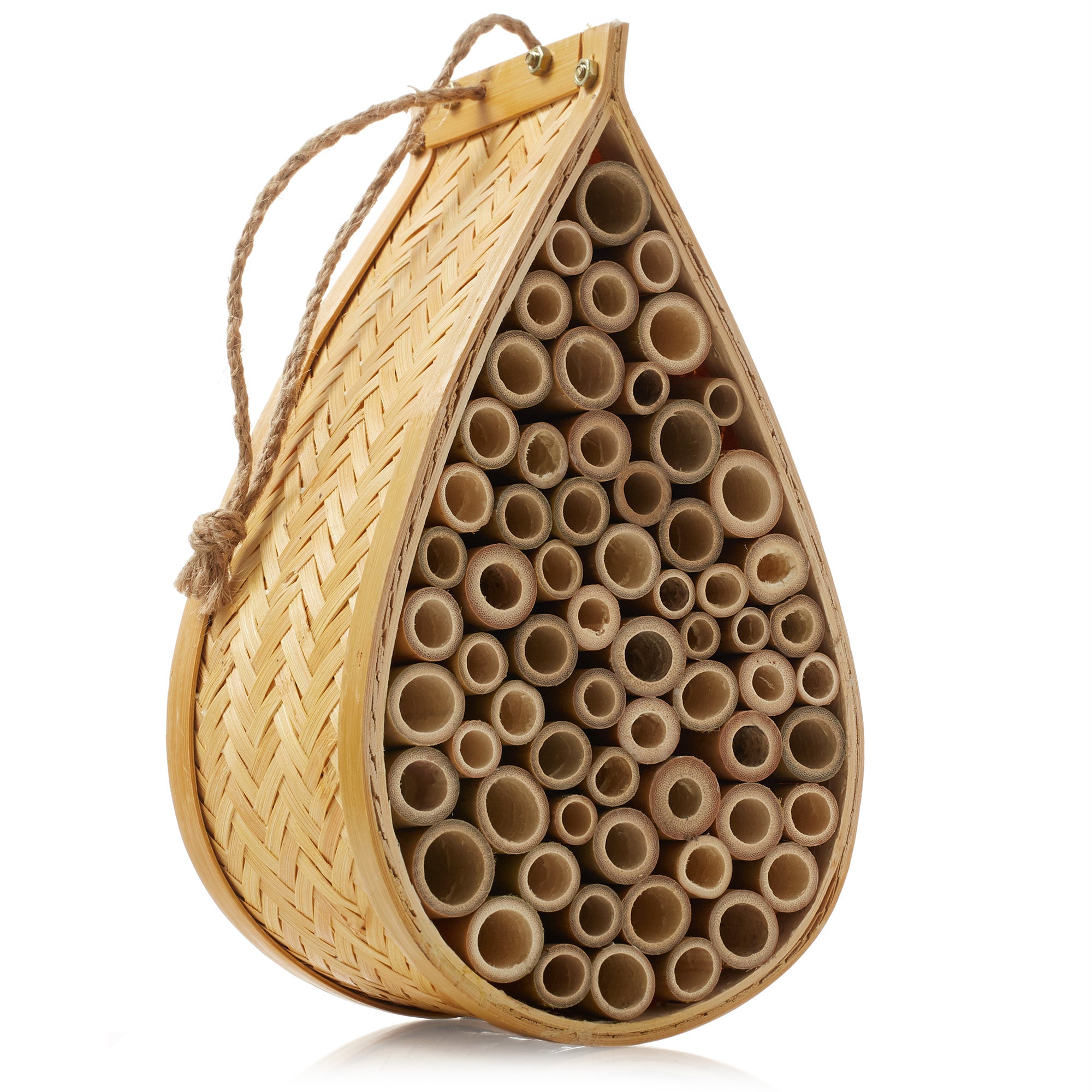 BEE-HIVE-TRDP1