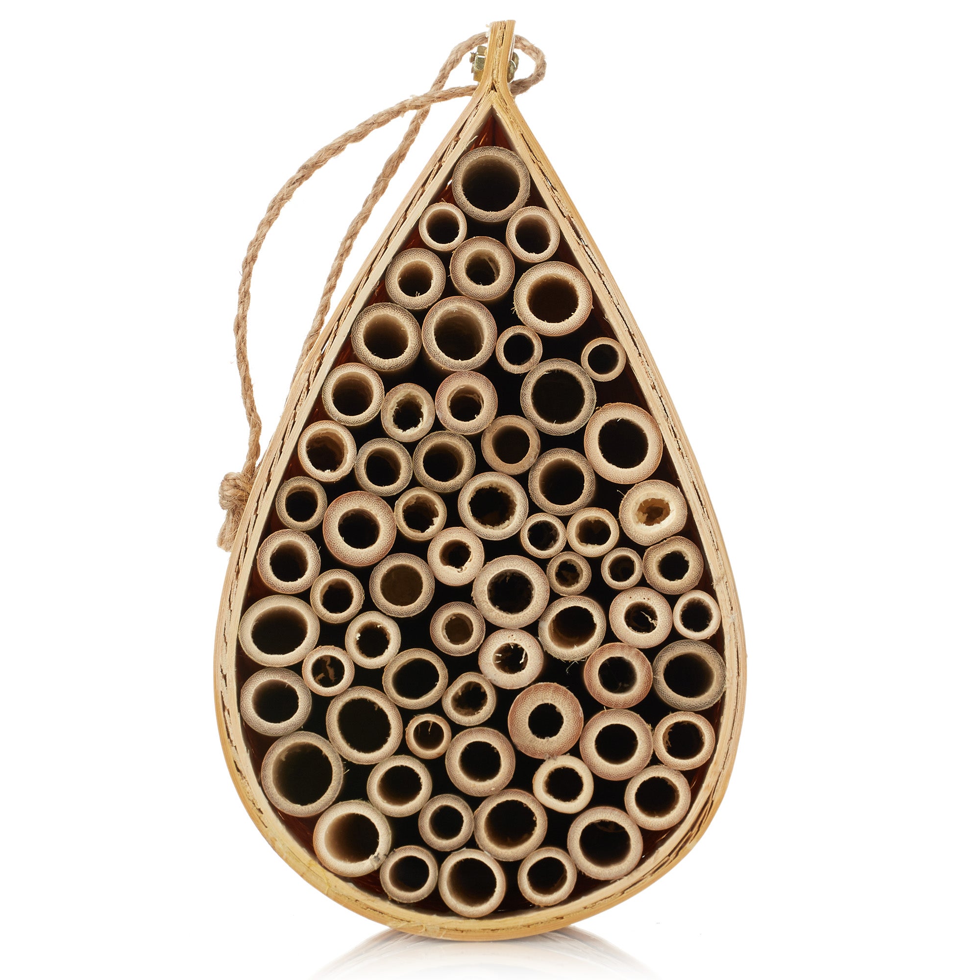 BEE-HIVE-TRDP1