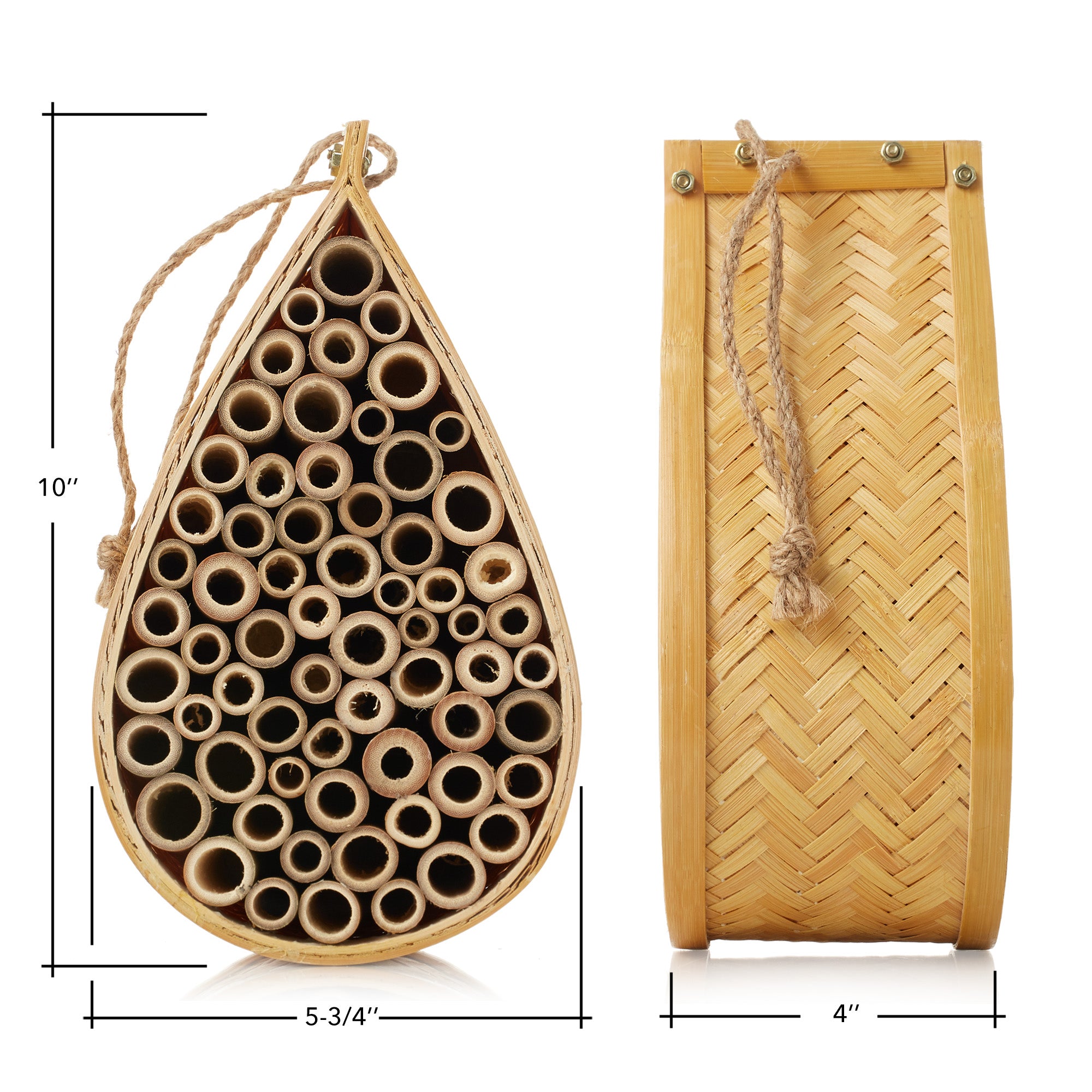 BEE-HIVE-TRDP1