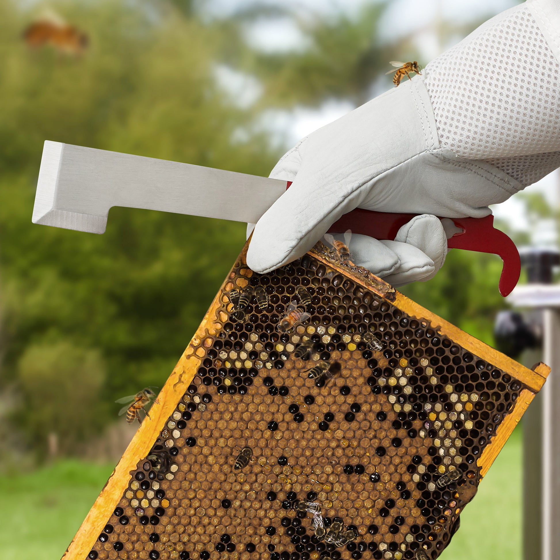 BEE-TOOL-HT28