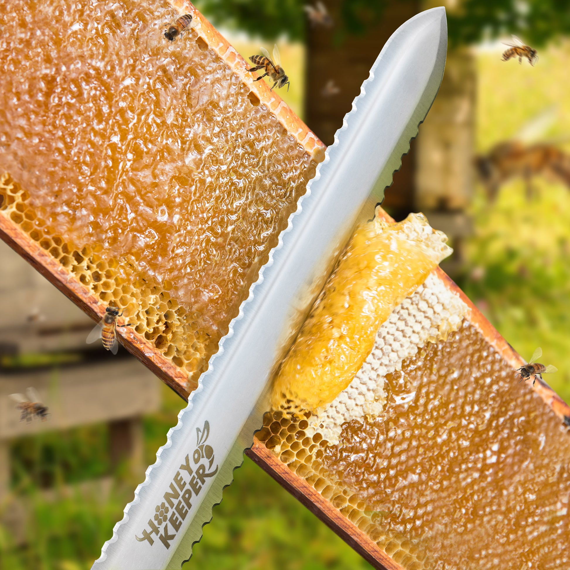 BEE-TOOL-HS24