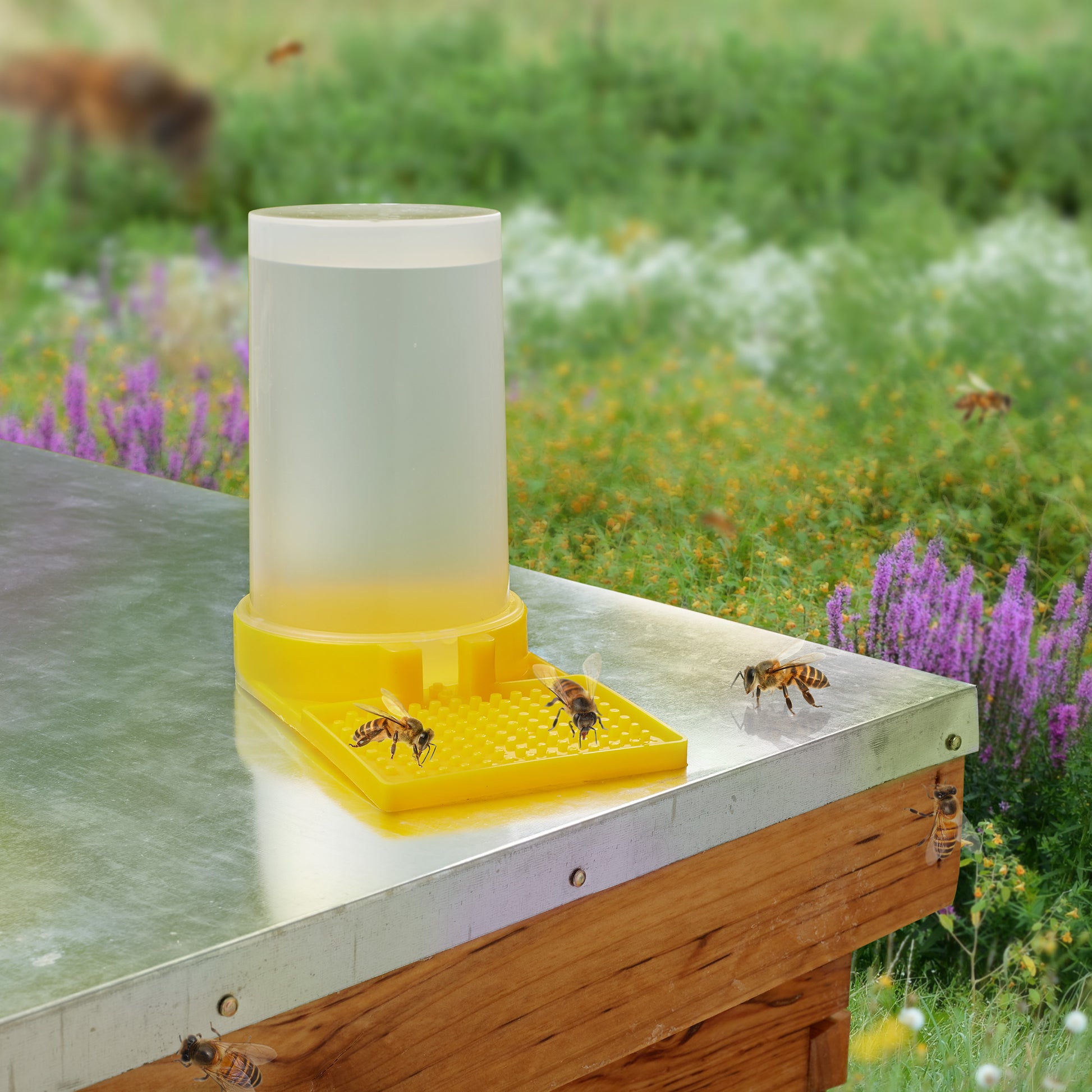 BEE-TOOL-FD22