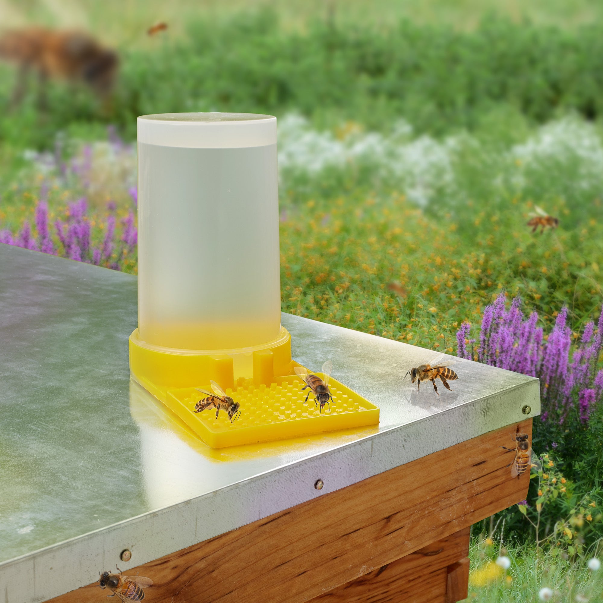 BEE-TOOL-FD22