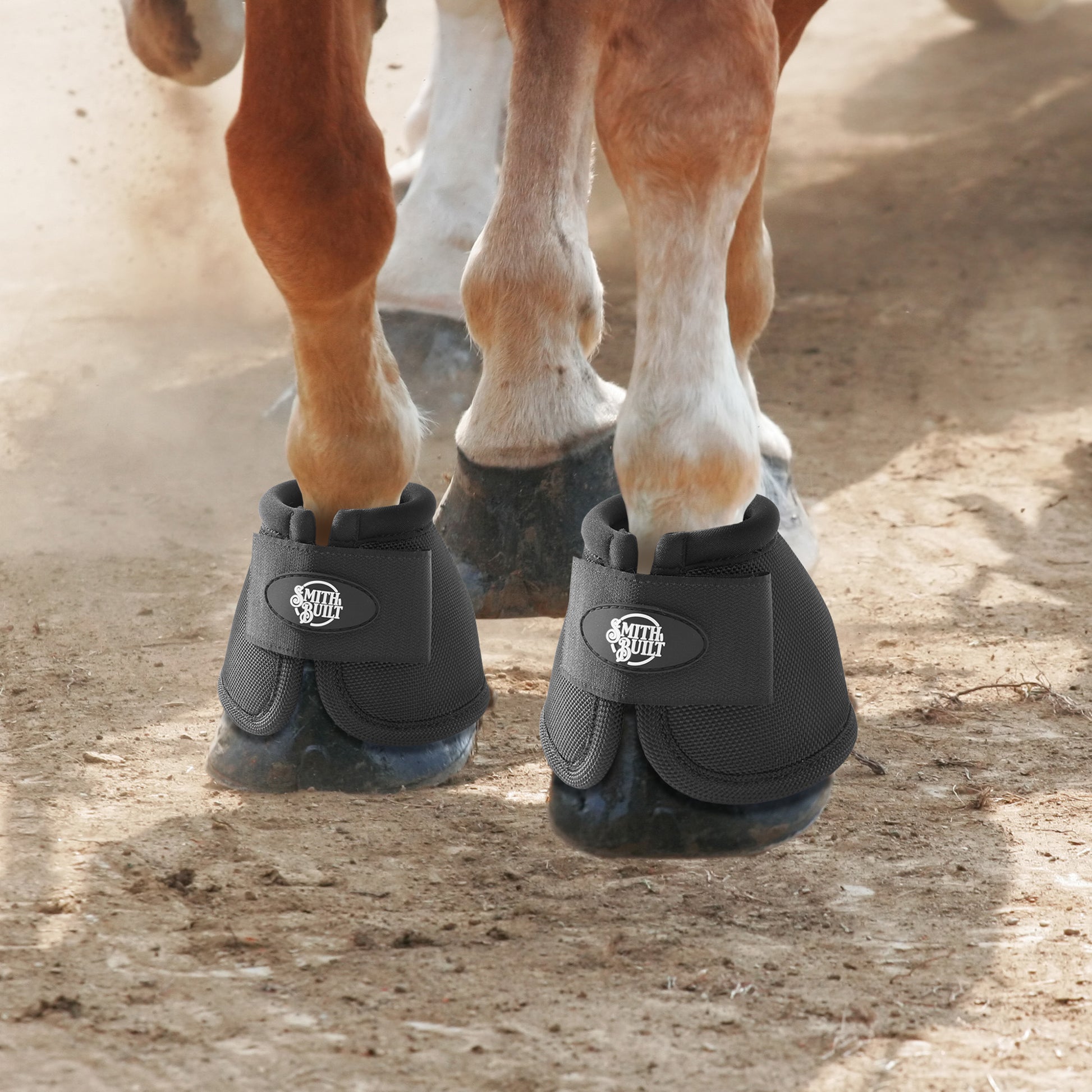 PET-EQ-B4436-BLK