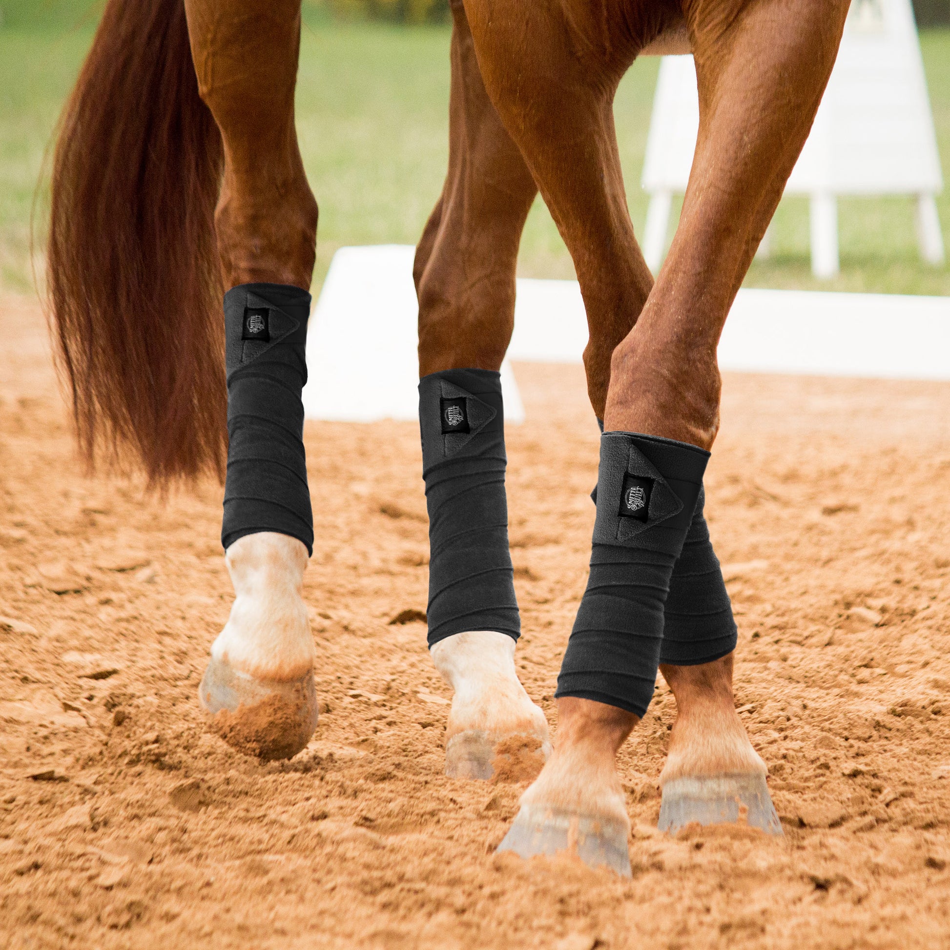 PET-EQ-T6494-BLK