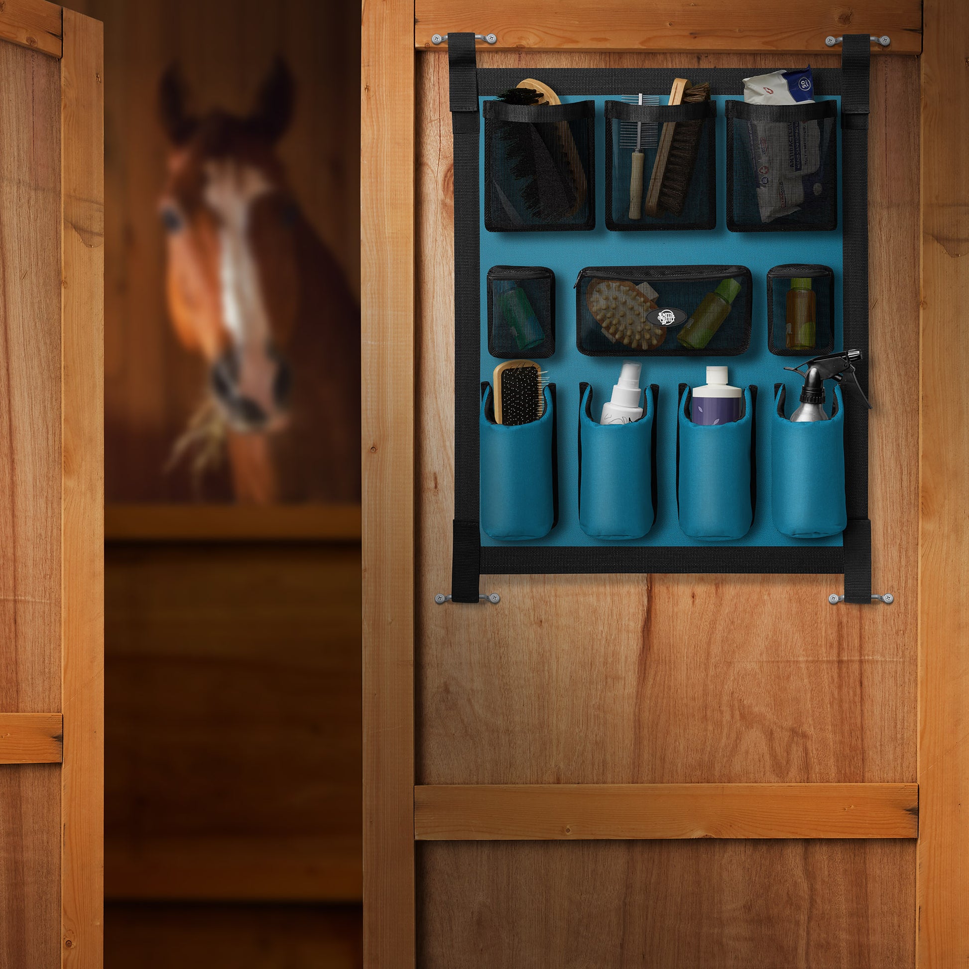 PET-EQ-G2724-TEAL