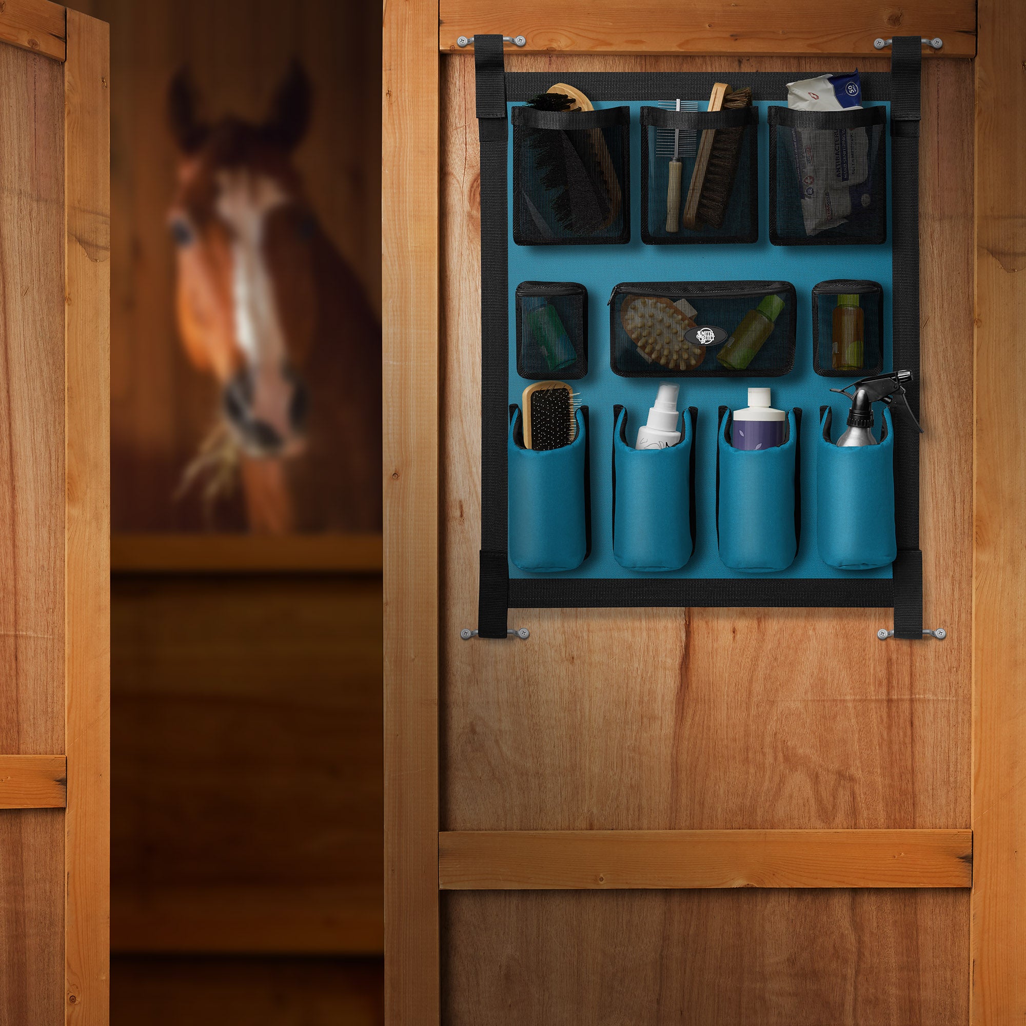 PET-EQ-G2724-TEAL