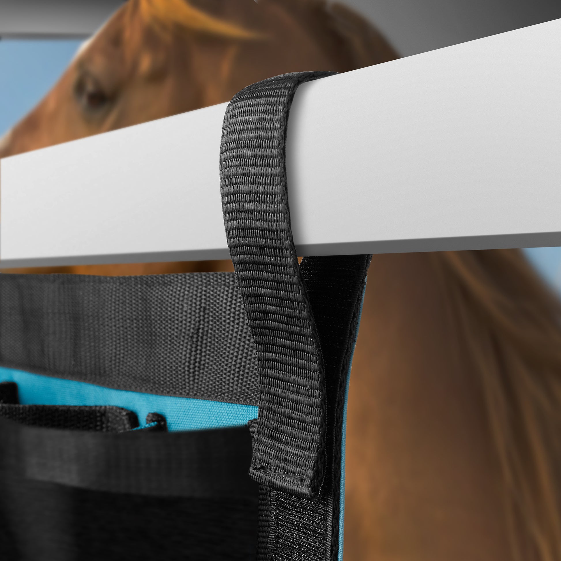 PET-EQ-G2724-TEAL