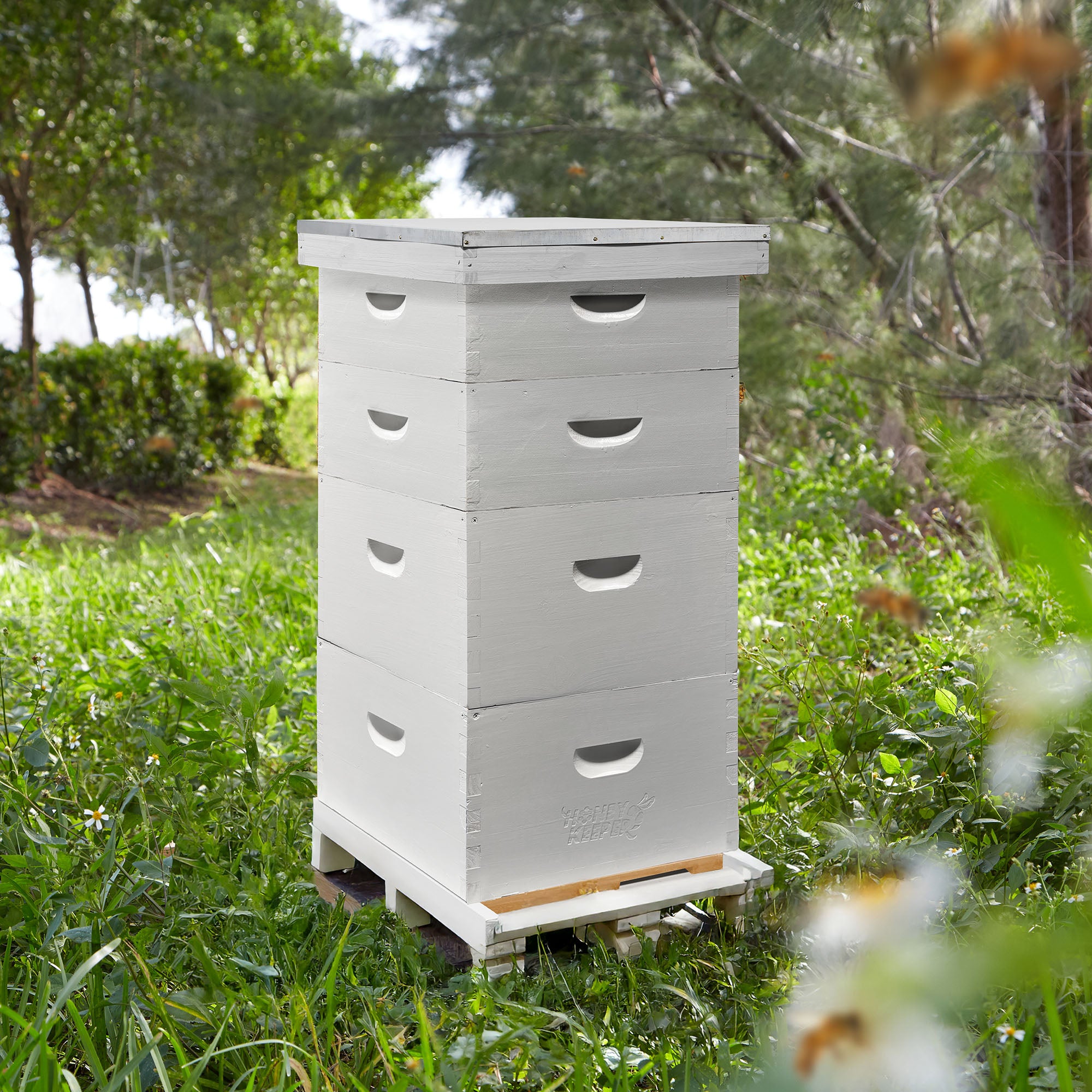 BEE-HIVE-L107A