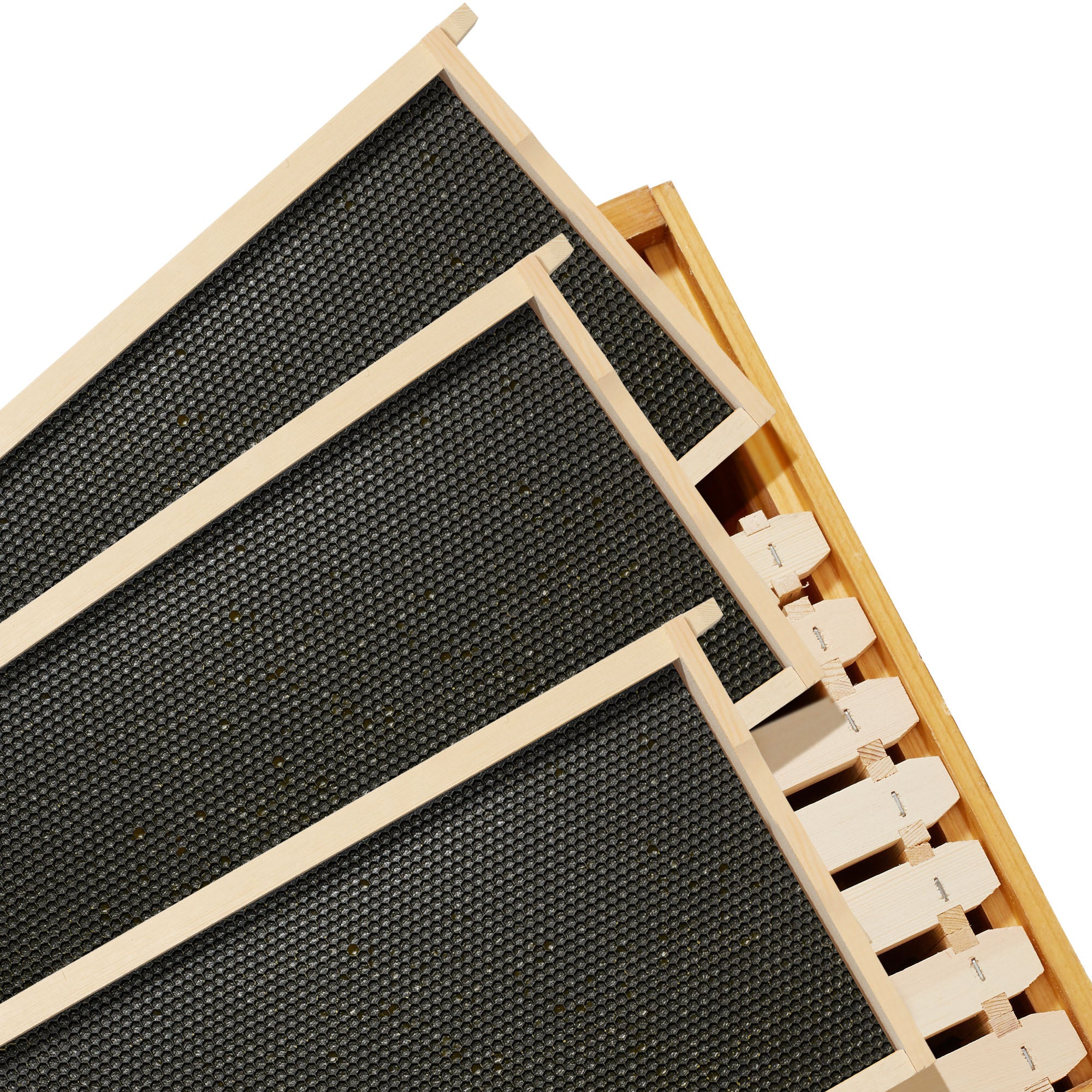 BEE-HIVE-WHD10B