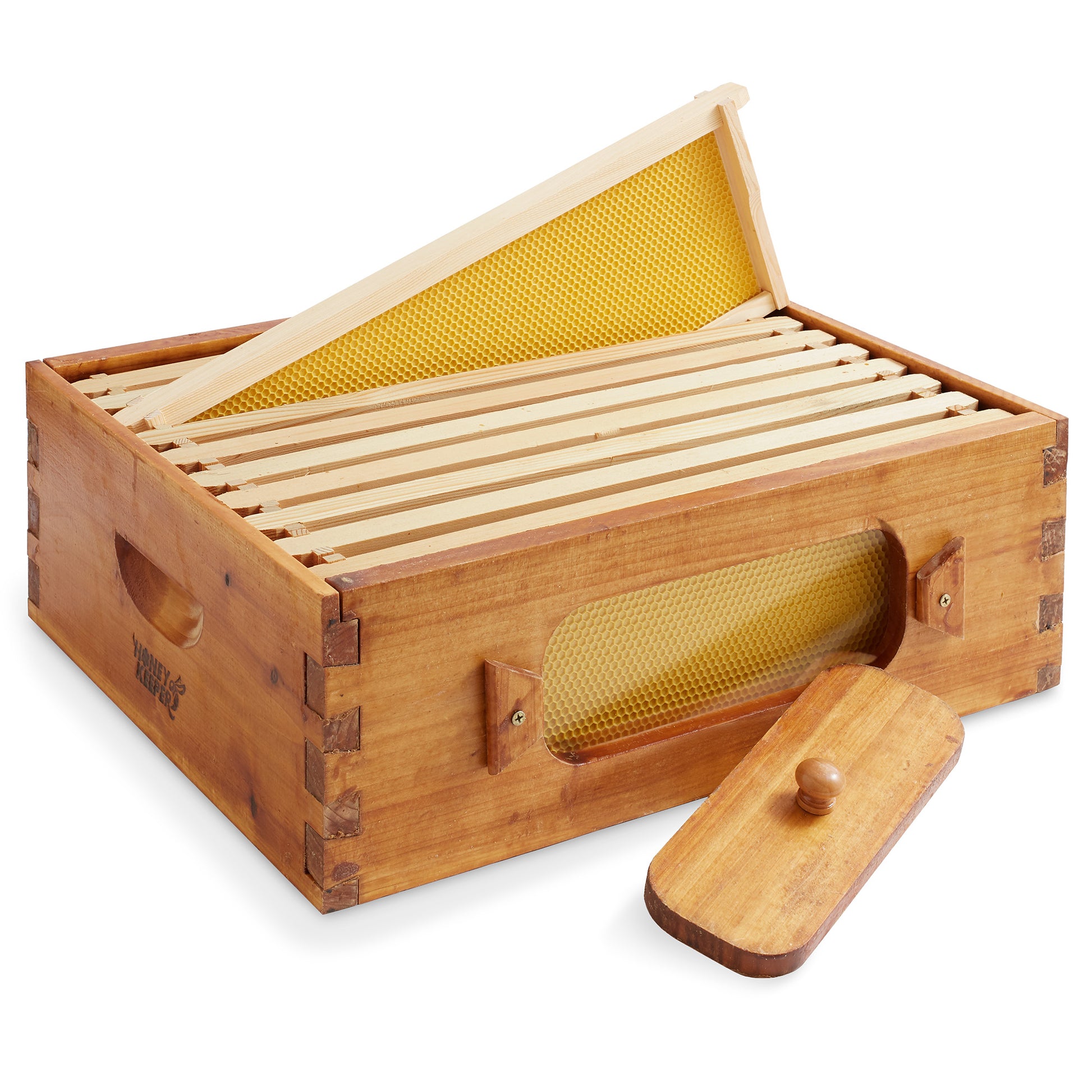 BEE-HIVE-WHM10Y