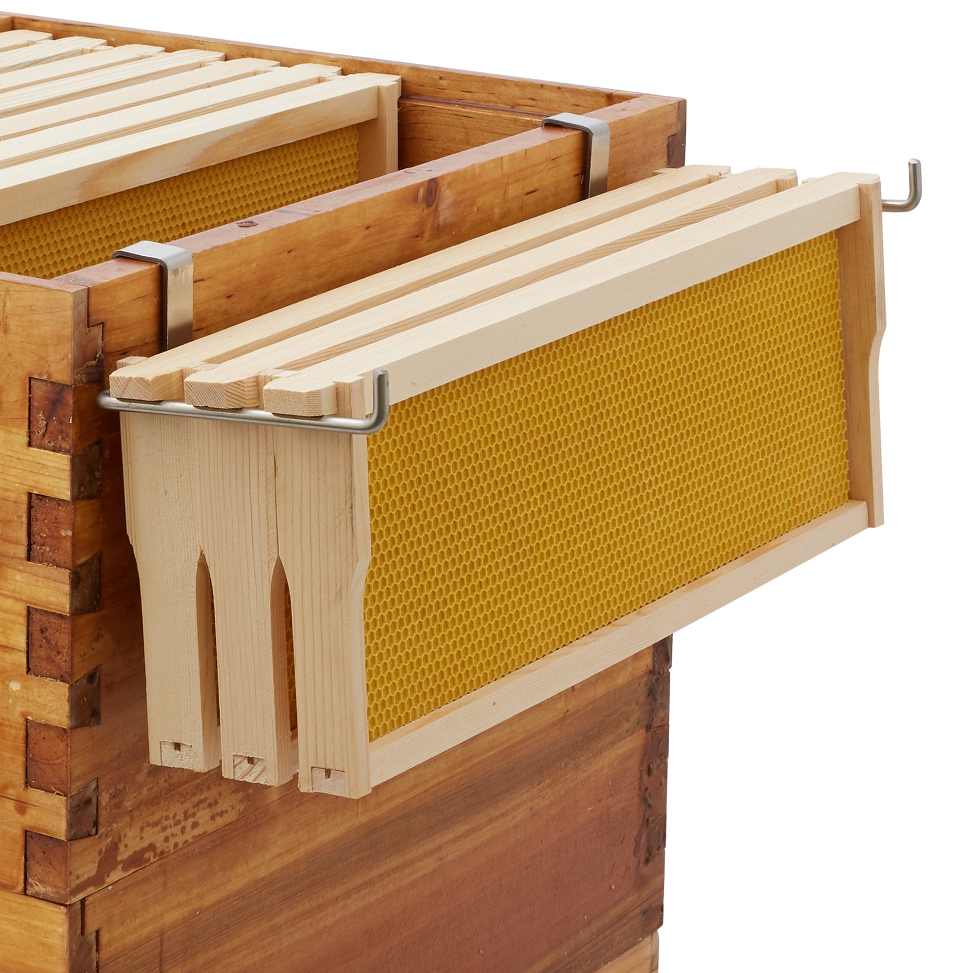 BEE-TOOL-FRH2