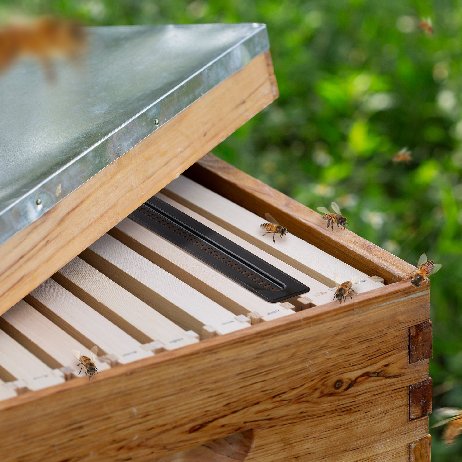 BEE-TOOL-BTRP12