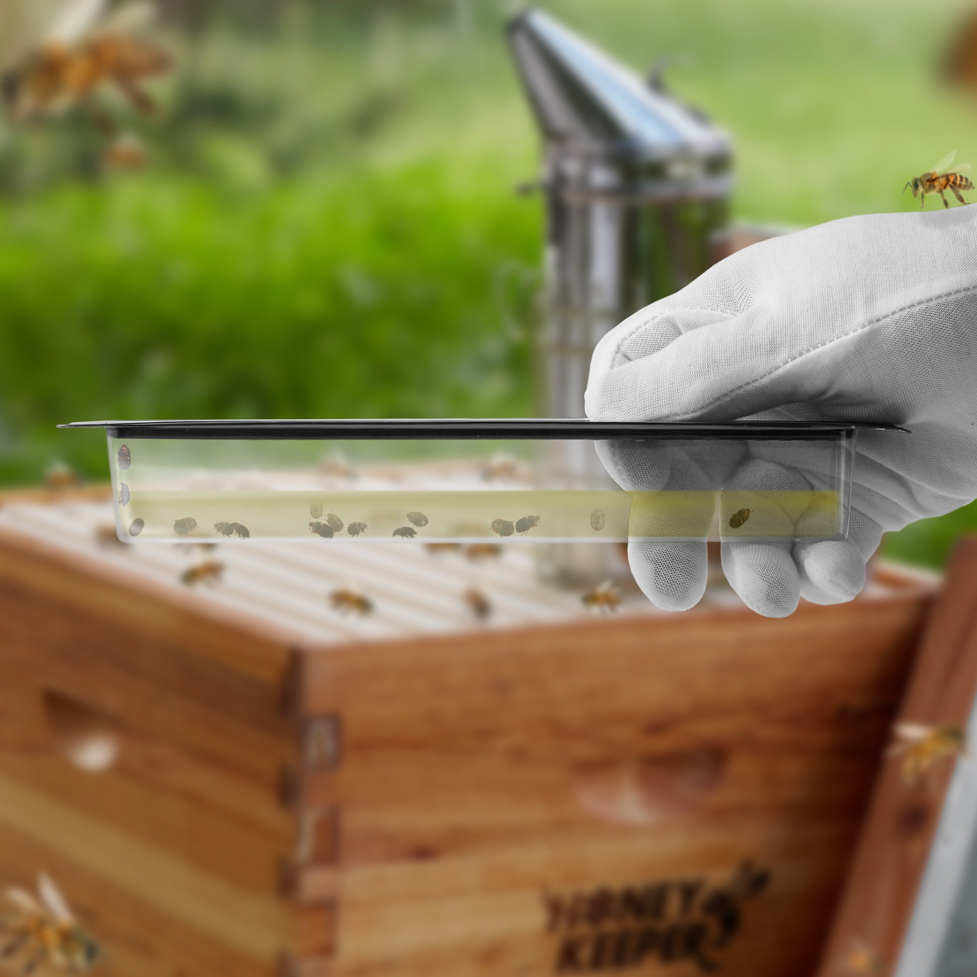 BEE-TOOL-BTRP12