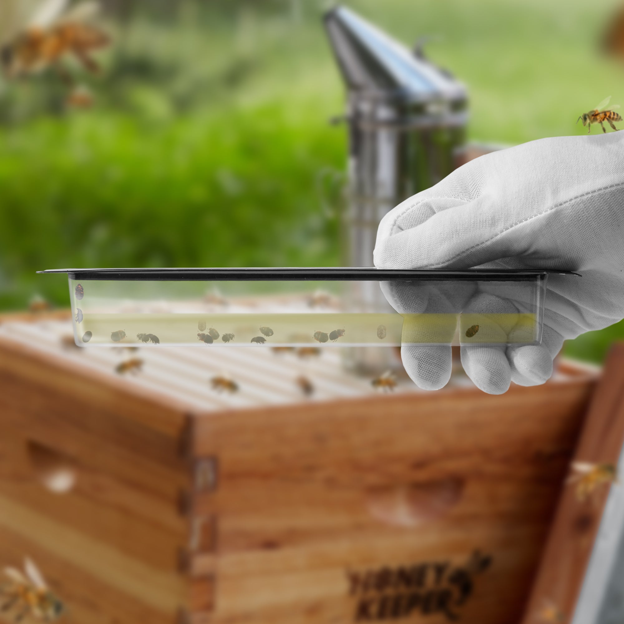 BEE-TOOL-BTRP12
