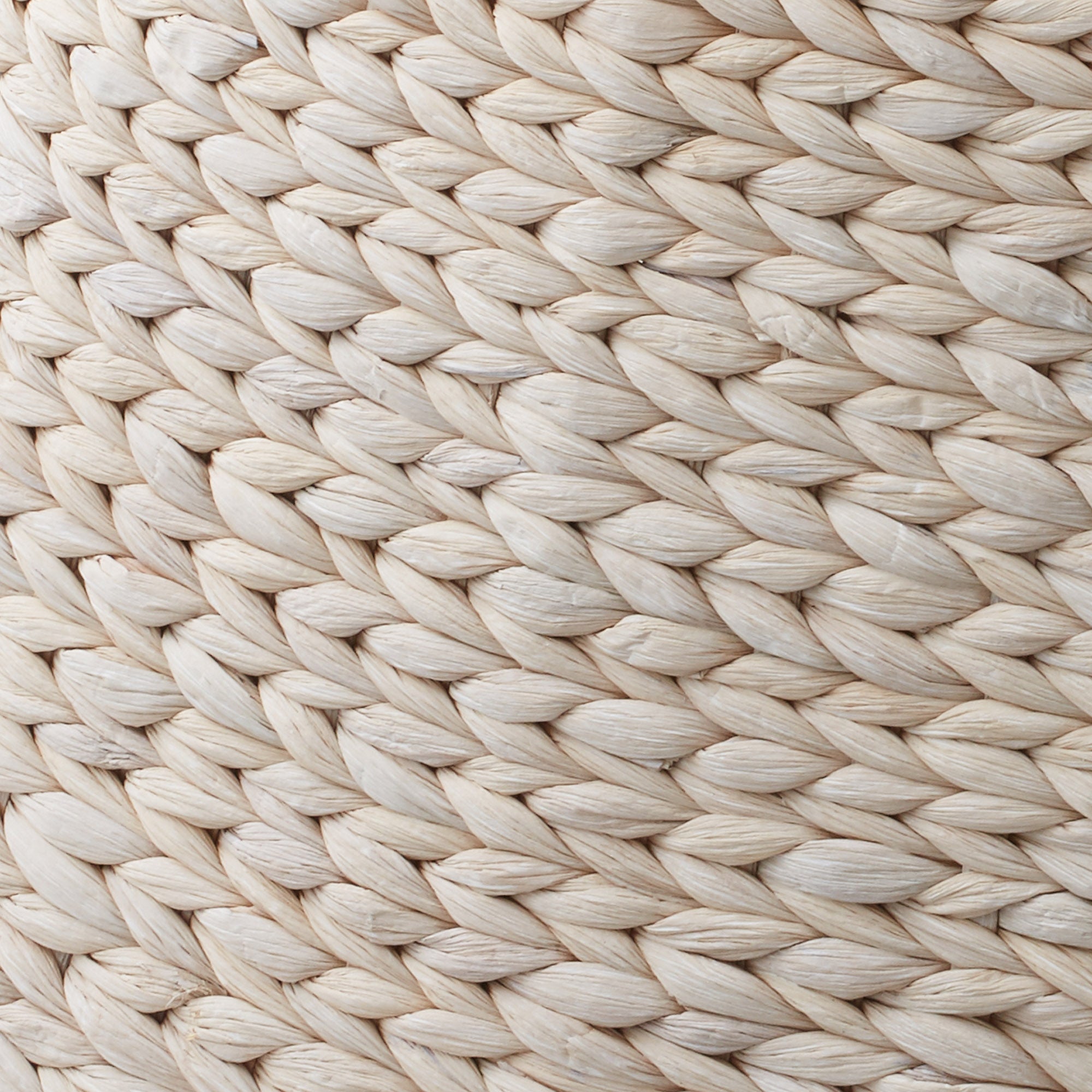 SZN-CLR-4216-WHT