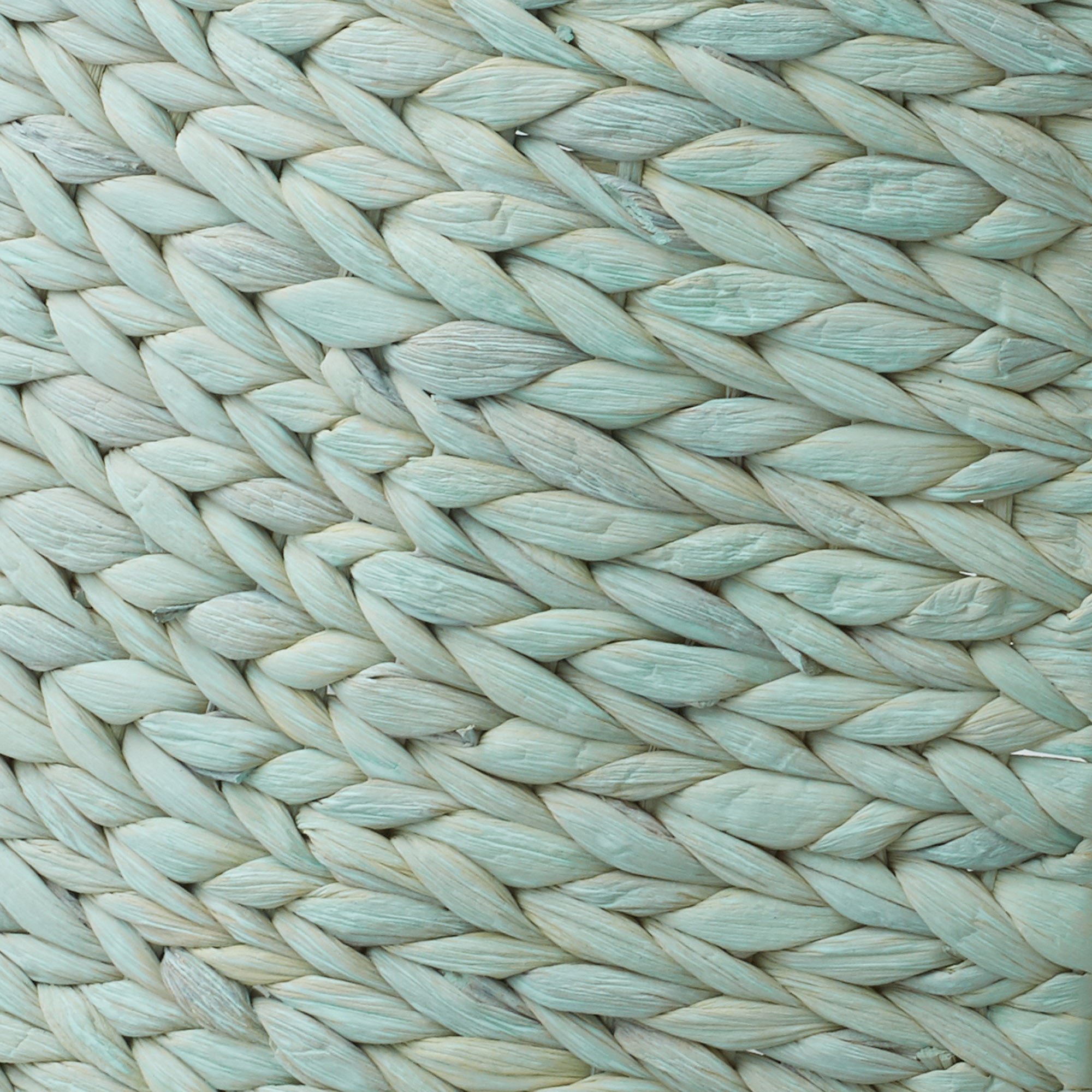 SZN-CLR-4216-SF