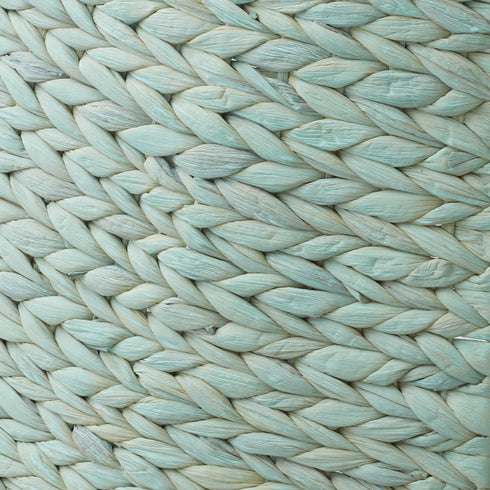 SZN-CLR-4216-SF