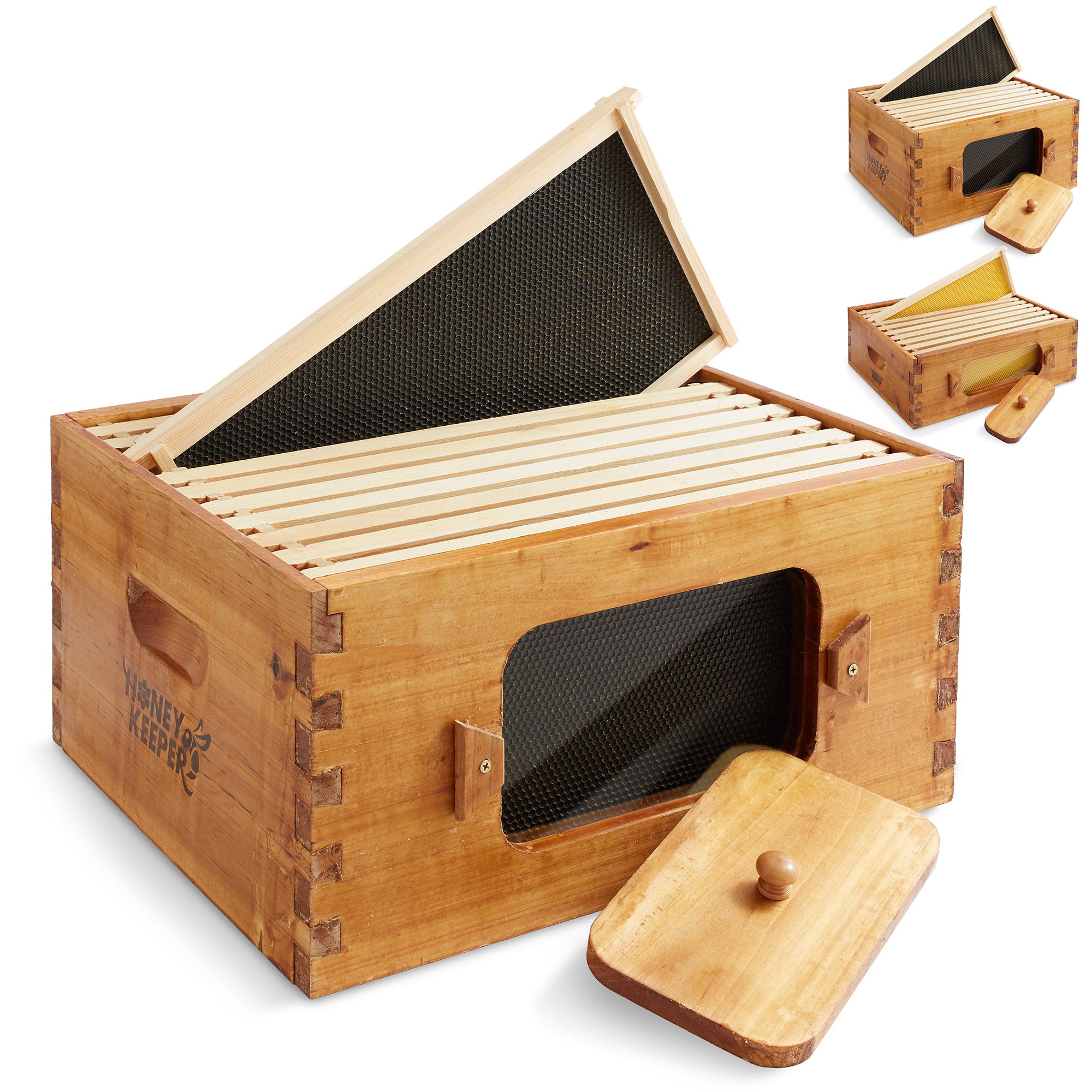 BEE-HIVE-P623