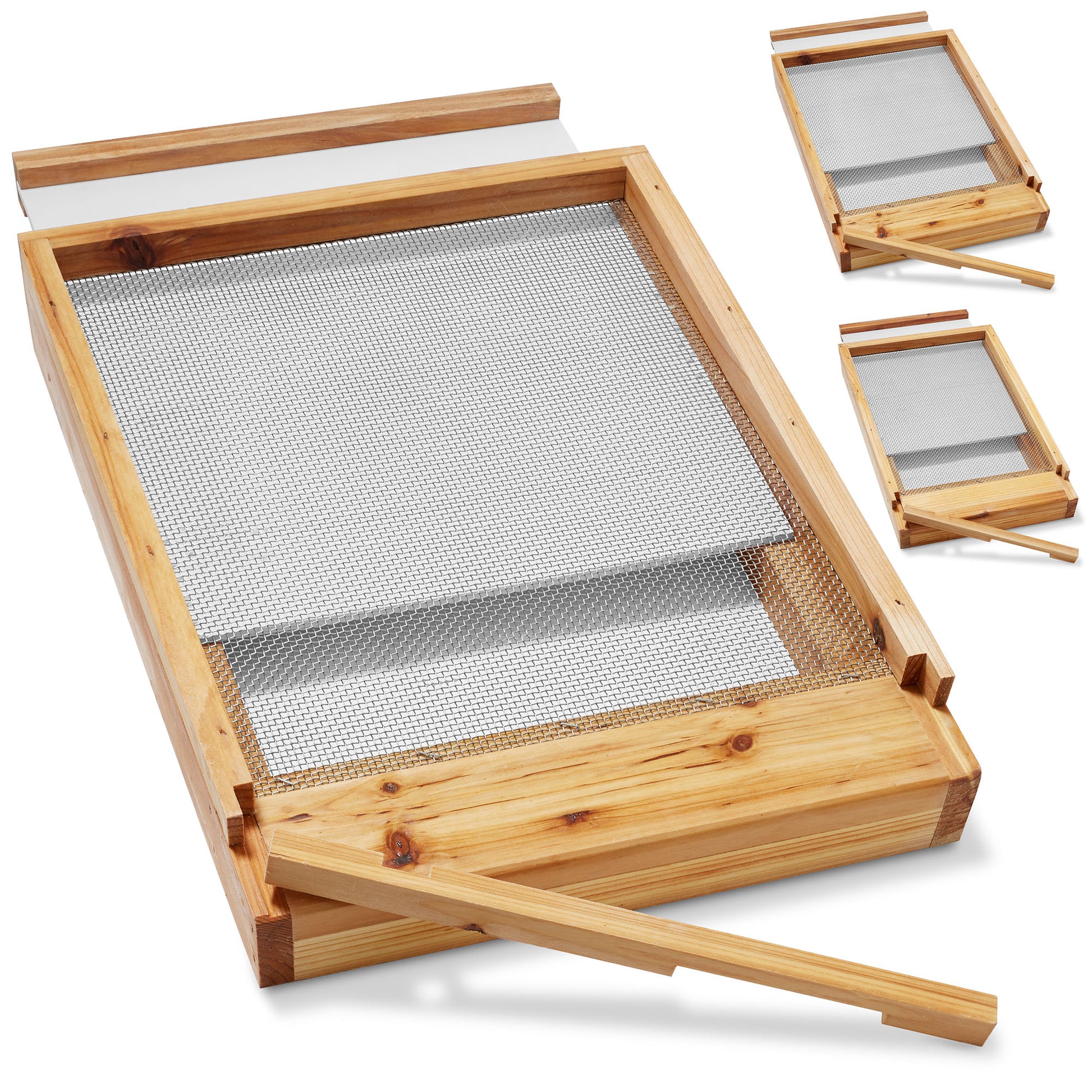 BEE-HIVE-P626