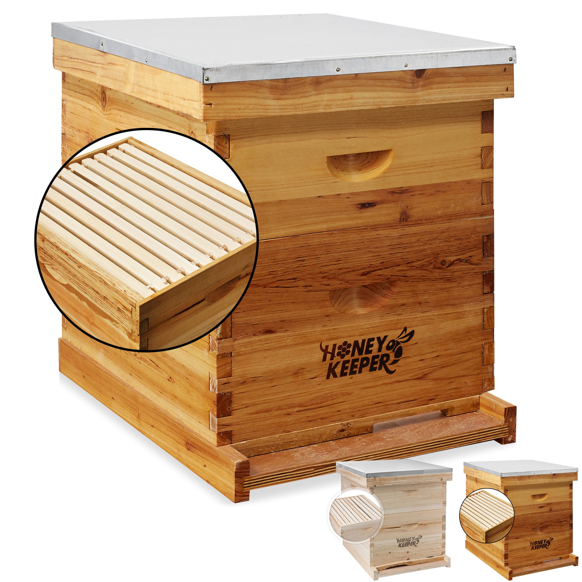 BEE-HIVE-P699