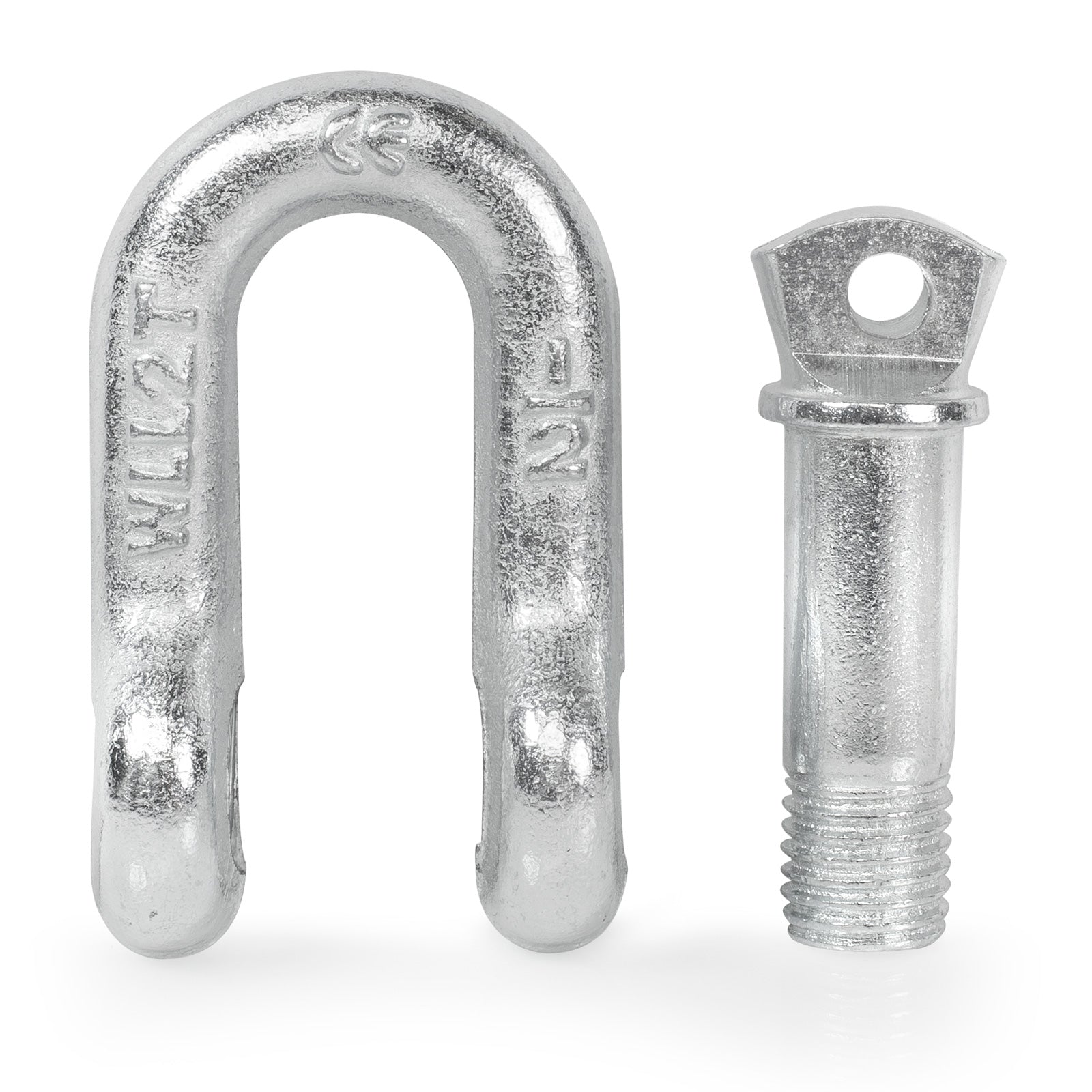 WINCH-HOOK-SHACKLE-D